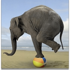 Allenamento Benessere