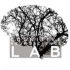 Social and Cognitive Neuroscience Lab