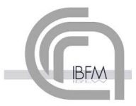 Consiglio Nazionale delle Ricerche - Istituto di Bioimmagini e Fisiologia Molecolare (CNR IBFM)